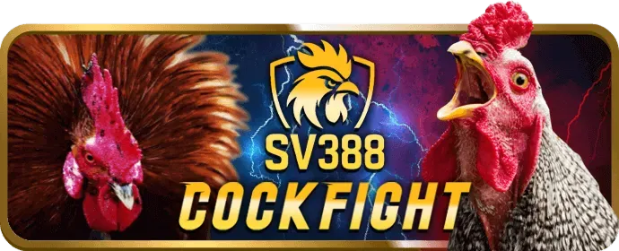 Nền tảng cá cược đá gà trực tuyến VIP69 chính thức